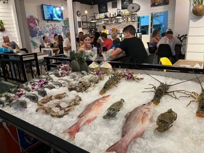 Restaurant & Hostel for sale Phuket